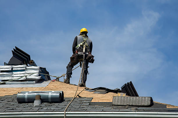 Professional Gutter Installation technician working in Albany, WI
